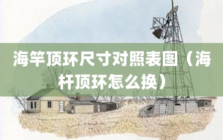 海竿顶环尺寸对照表图（海杆顶环怎么换）