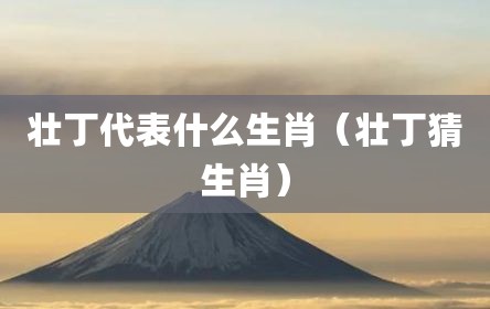 壮丁代表什么生肖（壮丁猜生肖）