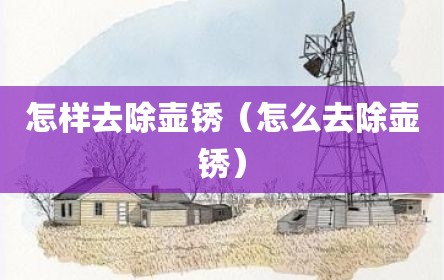 怎样去除壶锈（怎么去除壶锈）
