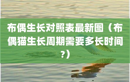 布偶生长对照表最新图（布偶猫生长周期需要多长时间?）