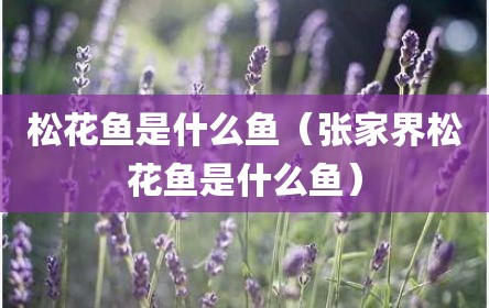 松花鱼是什么鱼（张家界松花鱼是什么鱼）