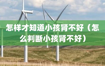 怎样才知道小孩肾不好（怎么判断小孩肾不好）