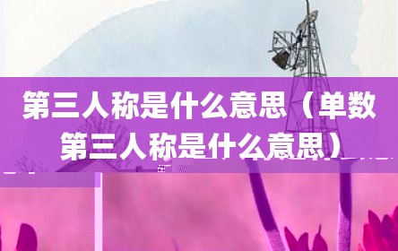 第三人称是什么意思（单数第三人称是什么意思）