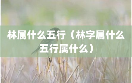 林属什么五行（林字属什么五行属什么）