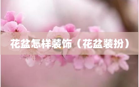 花盆怎样装饰（花盆装扮）