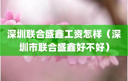 深圳联合盛鑫工资怎样（深圳市联合盛鑫好不好）