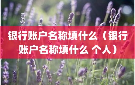 银行账户名称填什么（银行账户名称填什么 个人）