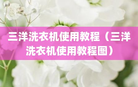 三洋洗衣机使用教程（三洋洗衣机使用教程图）