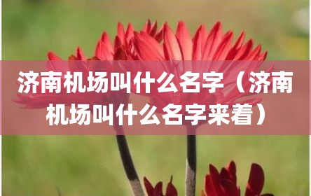 济南机场叫什么名字（济南机场叫什么名字来着）