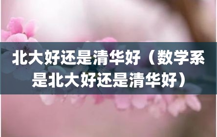 北大好还是清华好（数学系是北大好还是清华好）