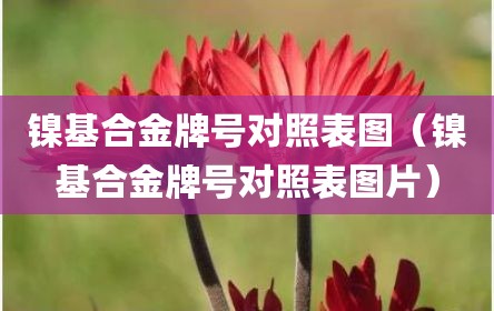 镍基合金牌号对照表图（镍基合金牌号对照表图片）