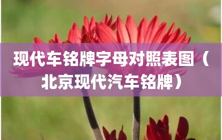 现代车铭牌字母对照表图（北京现代汽车铭牌）