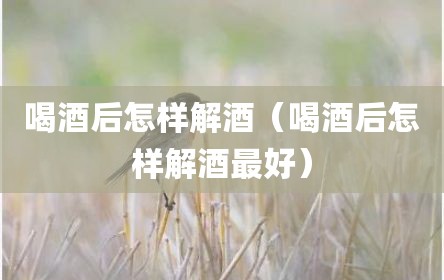 喝酒后怎样解酒（喝酒后怎样解酒最好）