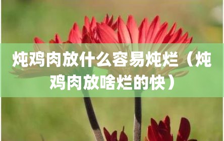 炖鸡肉放什么容易炖烂（炖鸡肉放啥烂的快）