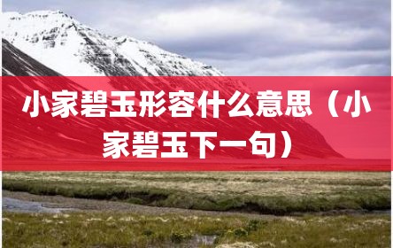 小家碧玉形容什么意思（小家碧玉下一句）