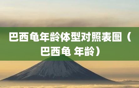 巴西龟年龄体型对照表图（巴西龟 年龄）