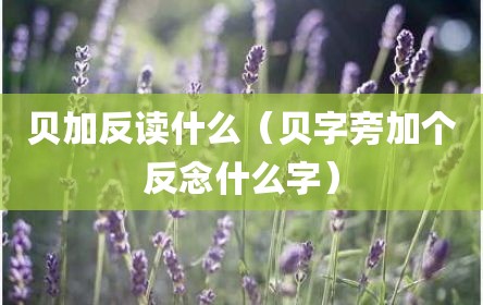 贝加反读什么（贝字旁加个反念什么字）