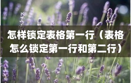 怎样锁定表格第一行（表格怎么锁定第一行和第二行）