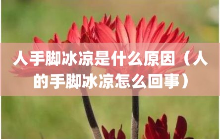 人手脚冰凉是什么原因（人的手脚冰凉怎么回事）