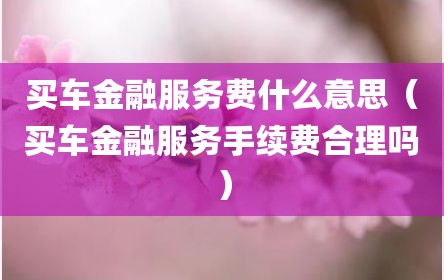 买车金融服务费什么意思（买车金融服务手续费合理吗）