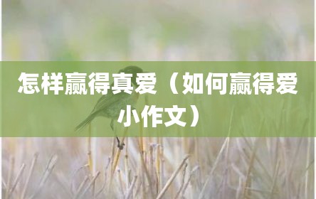 怎样赢得真爱（如何赢得爱小作文）