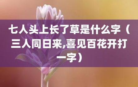 七人头上长了草是什么字（三人同日来,喜见百花开打一字）