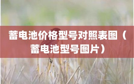 蓄电池价格型号对照表图（蓄电池型号图片）