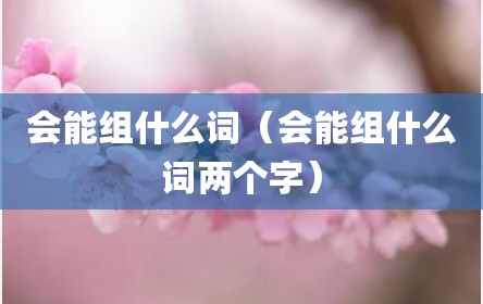 会能组什么词（会能组什么词两个字）