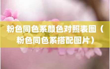粉色同色系颜色对照表图（粉色同色系搭配图片）