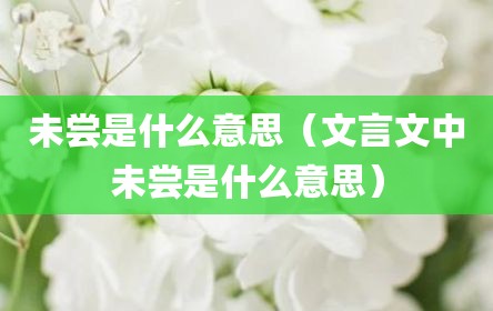 未尝是什么意思（文言文中未尝是什么意思）
