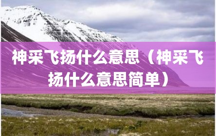 神采飞扬什么意思（神采飞扬什么意思简单）