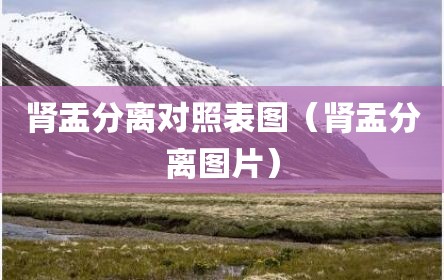 肾盂分离对照表图（肾盂分离图片）
