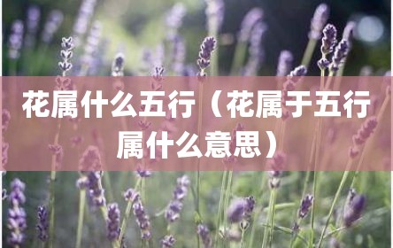 花属什么五行（花属于五行属什么意思）