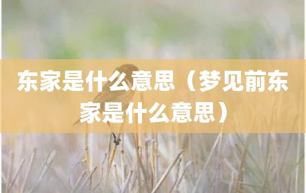 东家是什么意思（梦见前东家是什么意思）