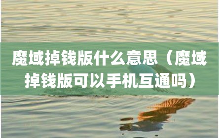 魔域掉钱版什么意思（魔域掉钱版可以手机互通吗）