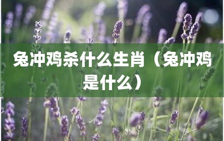 兔冲鸡杀什么生肖（兔冲鸡是什么）