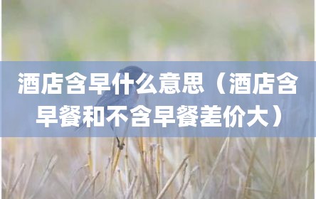 酒店含早什么意思（酒店含早餐和不含早餐差价大）