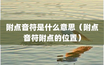 附点音符是什么意思（附点音符附点的位置）