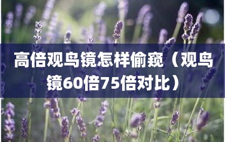 高倍观鸟镜怎样偷窥（观鸟镜60倍75倍对比）