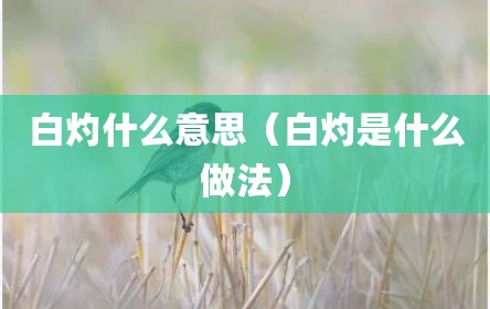 白灼什么意思（白灼是什么做法）