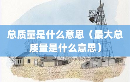 总质量是什么意思（最大总质量是什么意思）