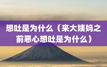 想吐是为什么（来大姨妈之前恶心想吐是为什么）