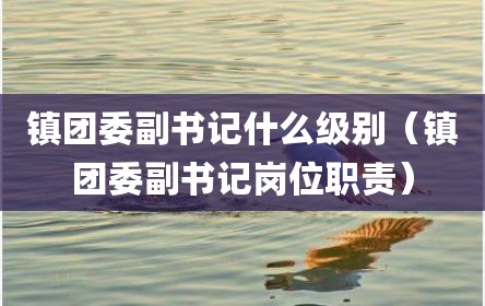 镇团委副书记什么级别（镇团委副书记岗位职责）