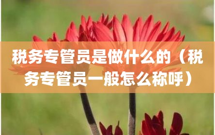 税务专管员是做什么的（税务专管员一般怎么称呼）