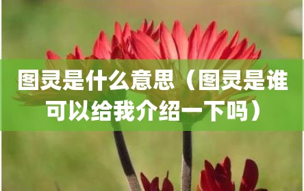 图灵是什么意思（图灵是谁可以给我介绍一下吗）