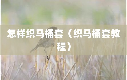 怎样织马桶套（织马桶套教程）