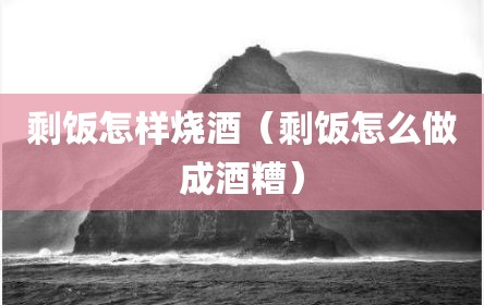 剩饭怎样烧酒（剩饭怎么做成酒糟）