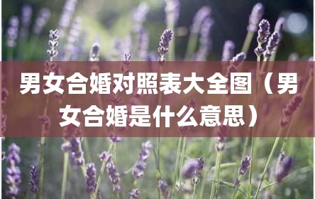 男女合婚对照表大全图（男女合婚是什么意思）