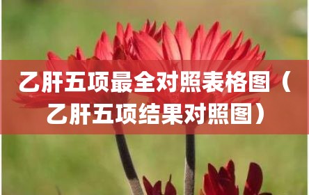 乙肝五项最全对照表格图（乙肝五项结果对照图）