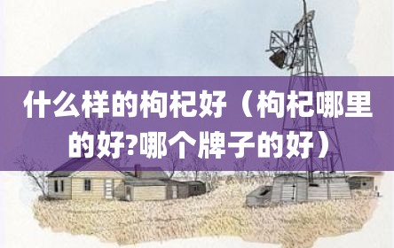 什么样的枸杞好（枸杞哪里的好?哪个牌子的好）
